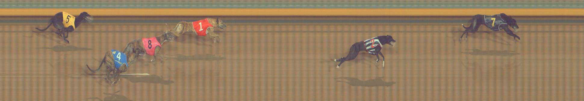 Photo finish for Bendigo Race 9