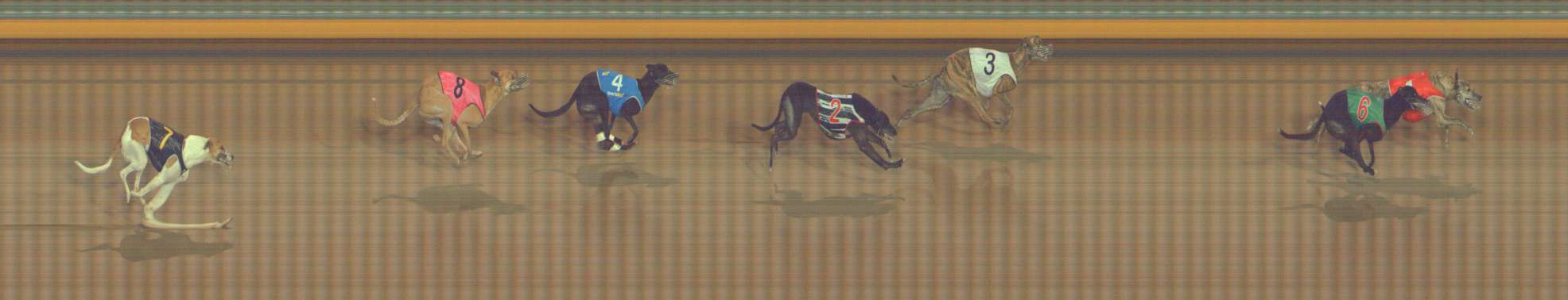 Photo finish for Bendigo Race 12