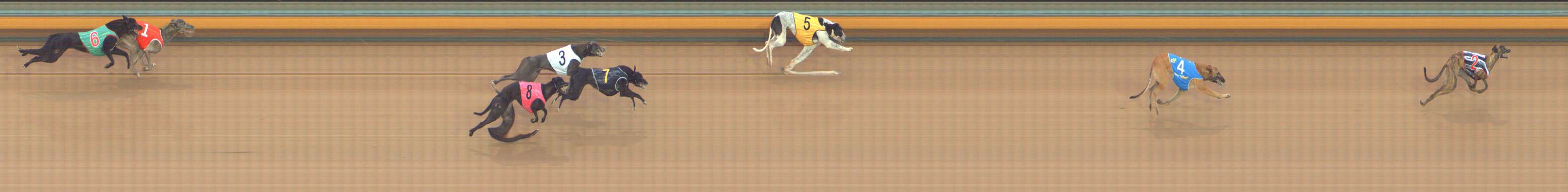 Photo finish for Bendigo Race 2