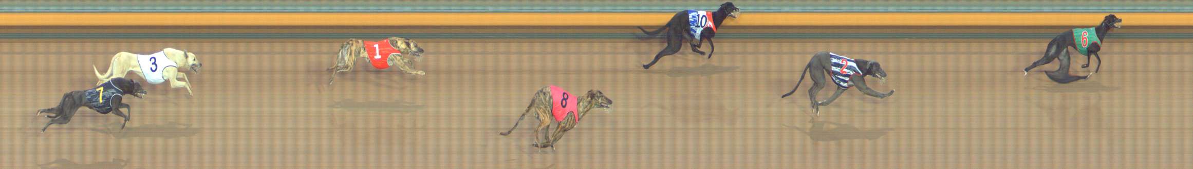Photo finish for Bendigo Race 3