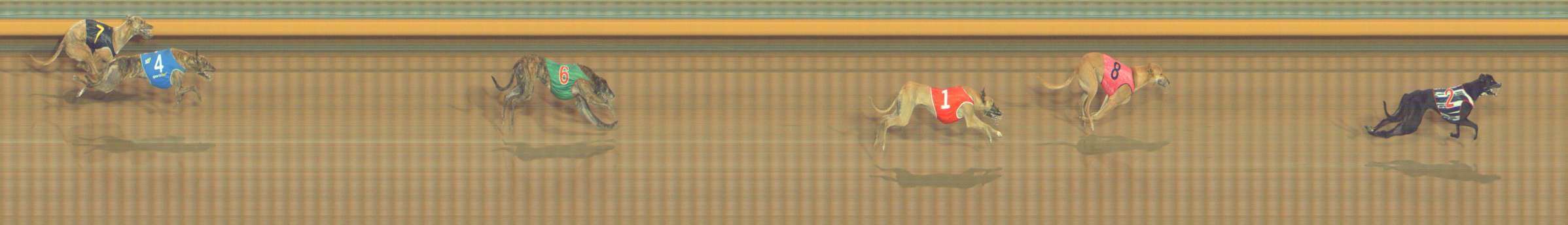 Photo finish for Bendigo Race 4