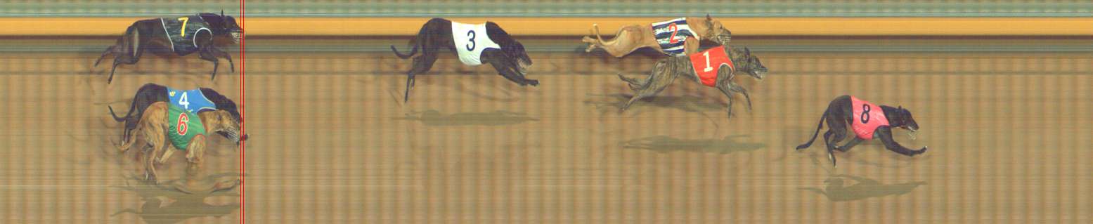 Photo finish for Bendigo Race 5