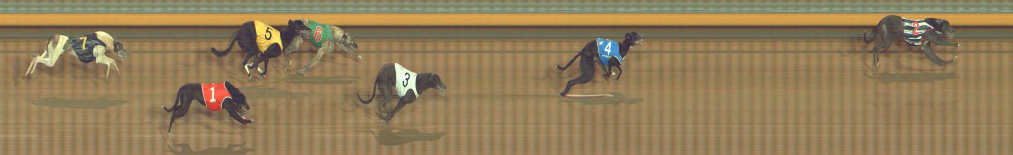Photo finish for Bendigo Race 6