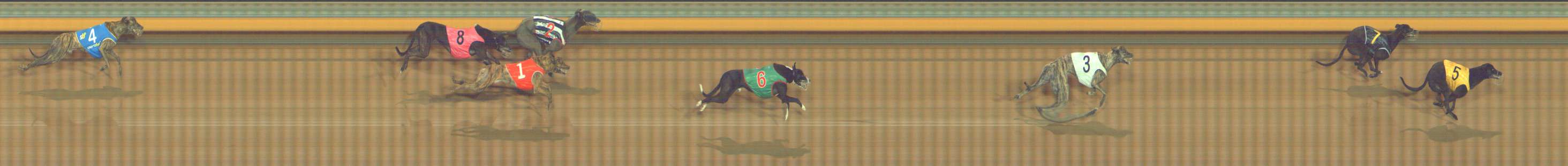Photo finish for Bendigo Race 7