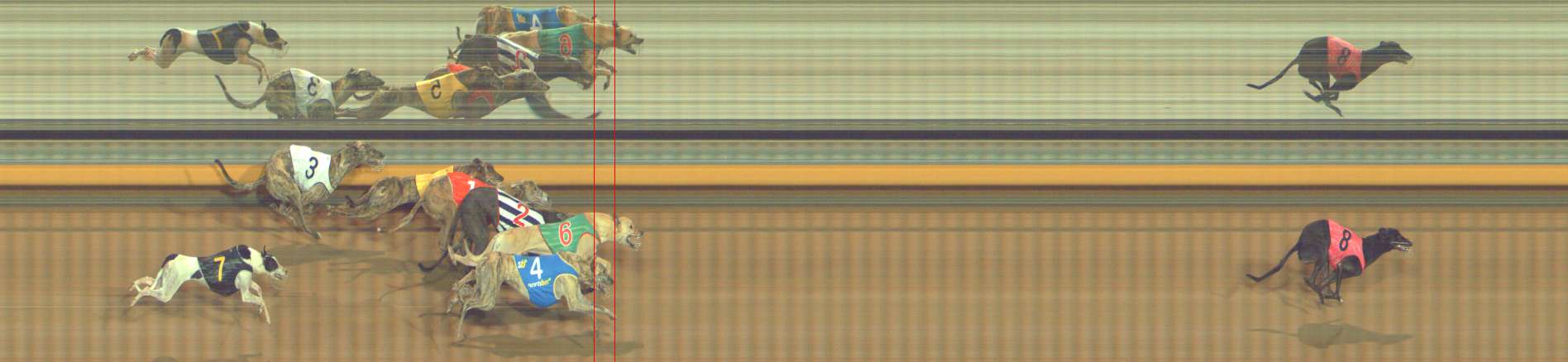 Photo finish for Bendigo Race 8