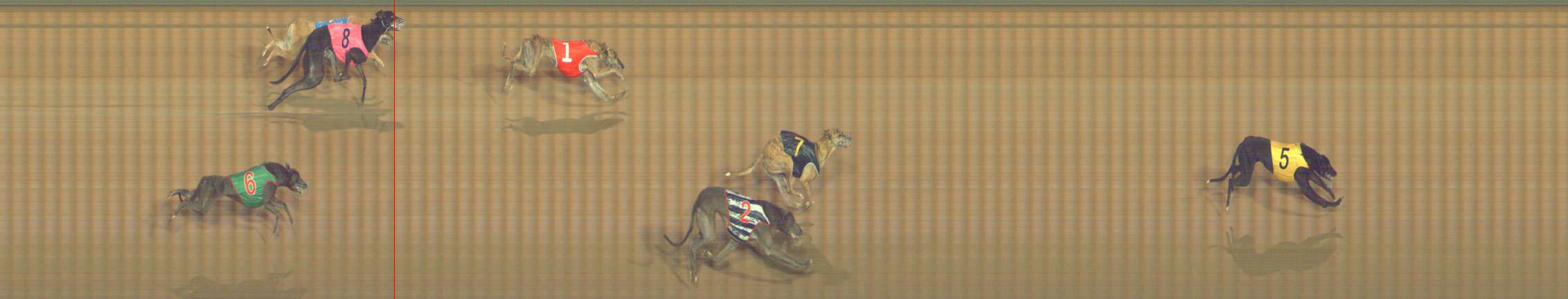 Photo finish for Bendigo Race 10