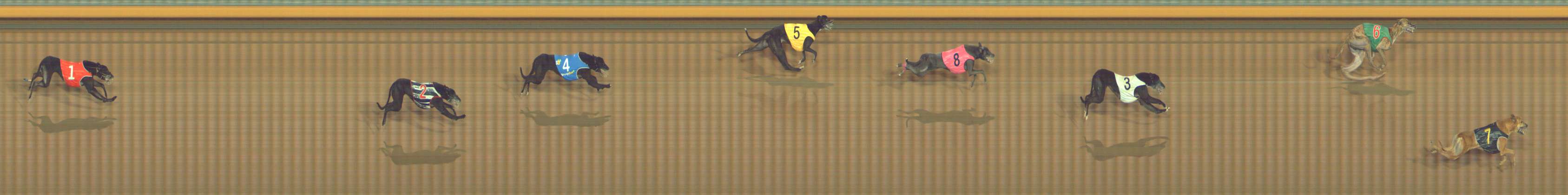 Photo finish for Bendigo Race 12