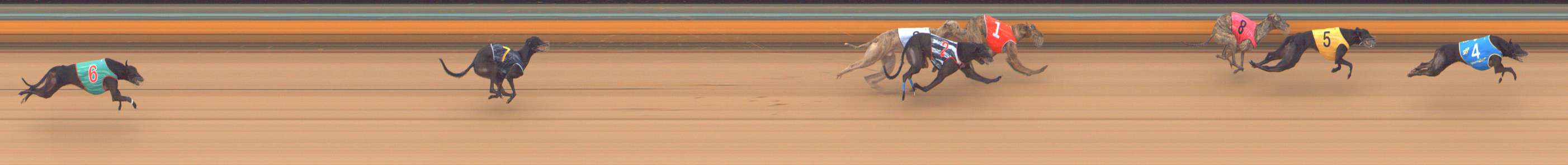 Photo finish for Bendigo Race 6