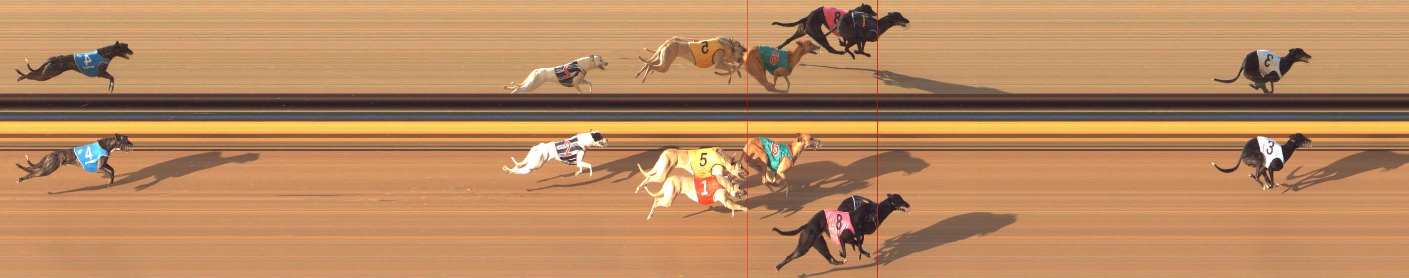 Photo finish for Bendigo Race 8