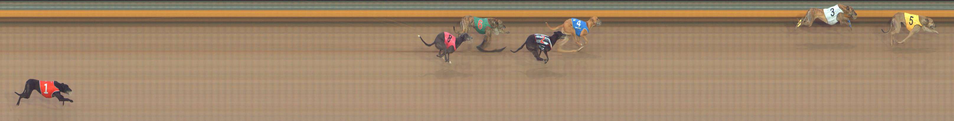 Photo finish for Bendigo Race 11