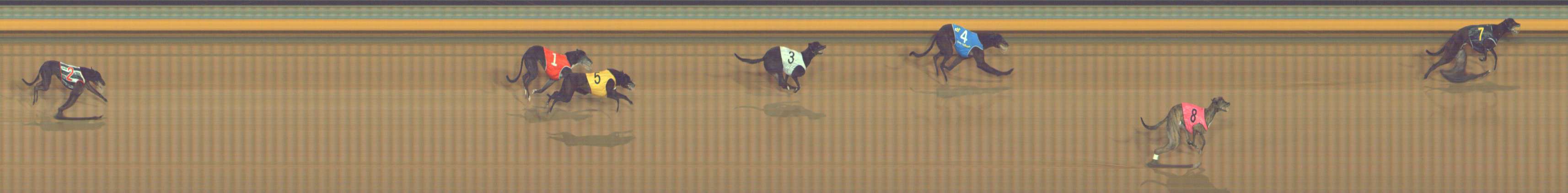Photo finish for Bendigo Race 13