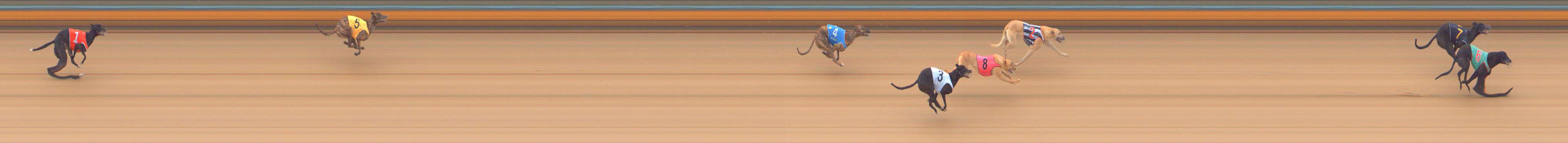Photo finish for Bendigo Race 2
