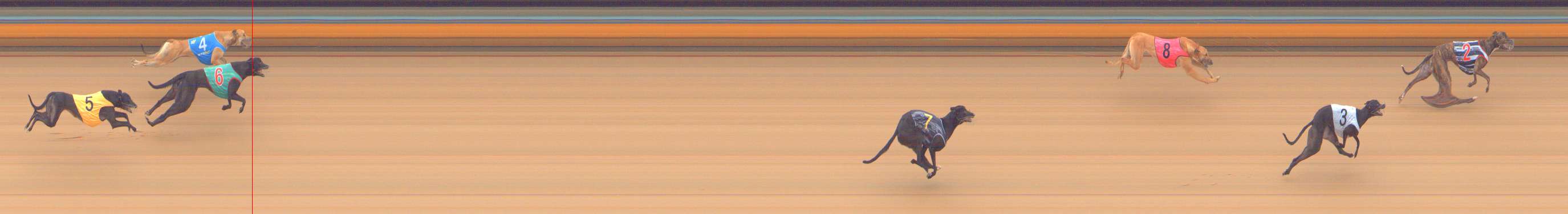 Photo finish for Bendigo Race 3