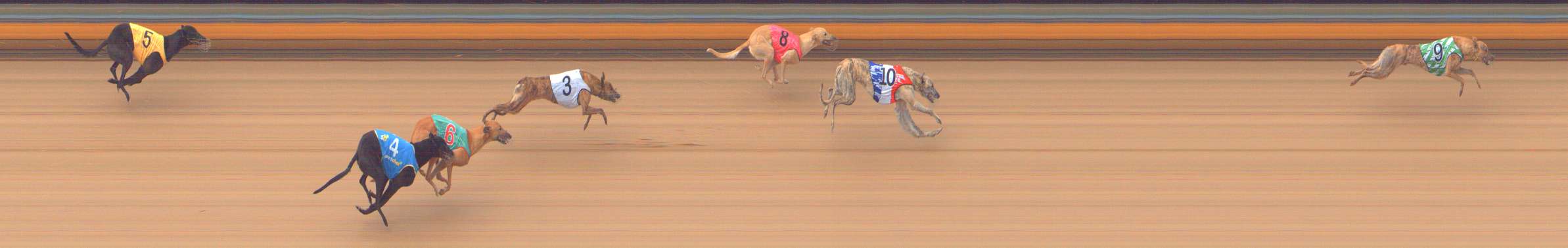 Photo finish for Bendigo Race 6