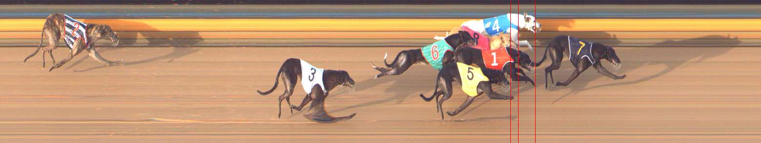 Photo finish for Bendigo Race 8