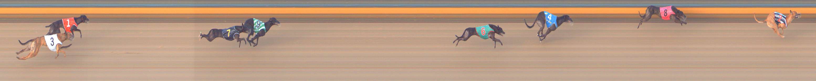 Photo finish for Bendigo Race 9