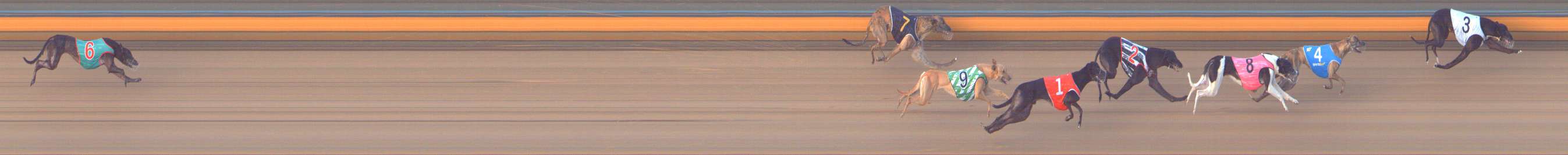 Photo finish for Bendigo Race 10