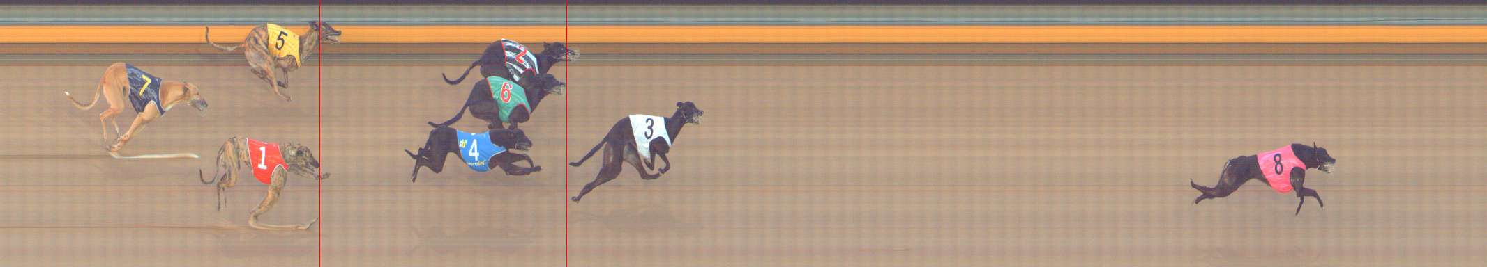 Photo finish for Bendigo Race 11
