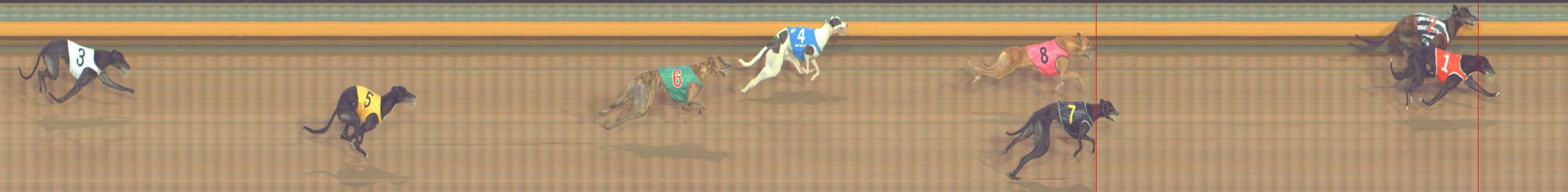 Photo finish for Bendigo Race 12