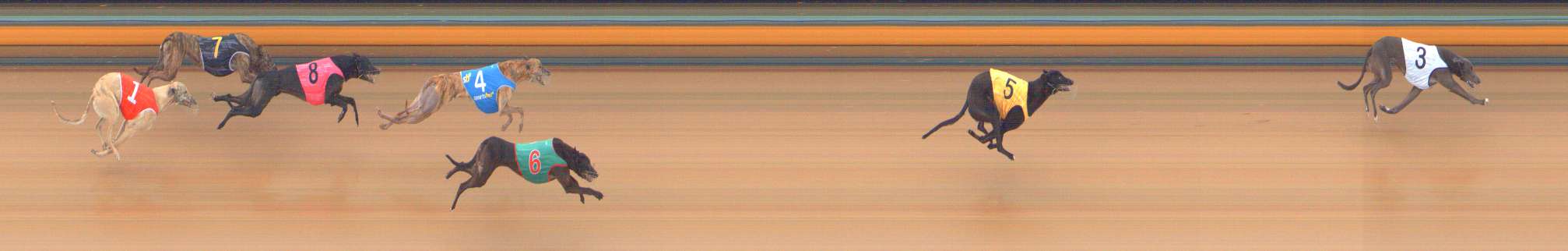 Photo finish for Bendigo Race 1