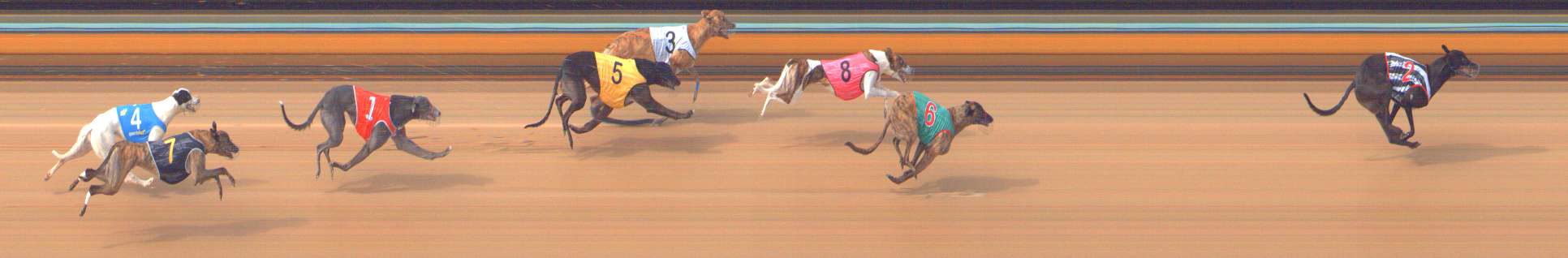 Photo finish for Bendigo Race 2