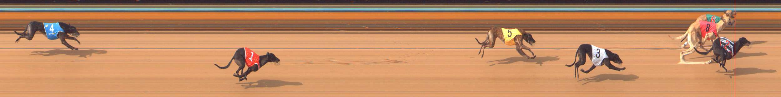 Photo finish for Bendigo Race 3
