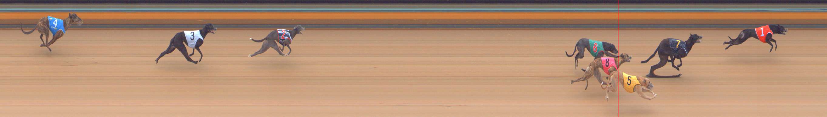 Photo finish for Bendigo Race 4