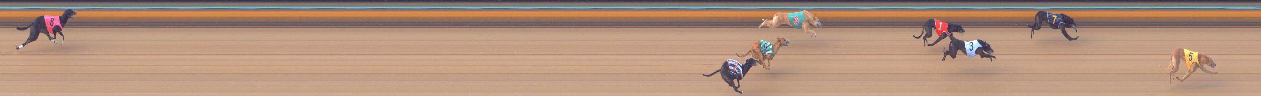 Photo finish for Bendigo Race 5