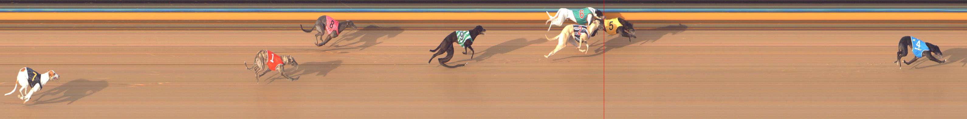 Photo finish for Bendigo Race 8