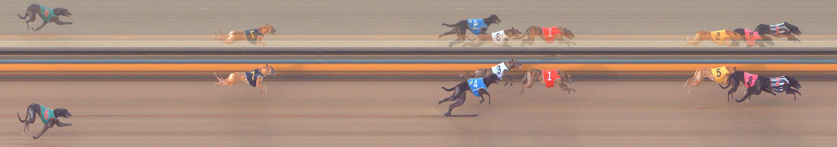 Photo finish for Bendigo Race 10