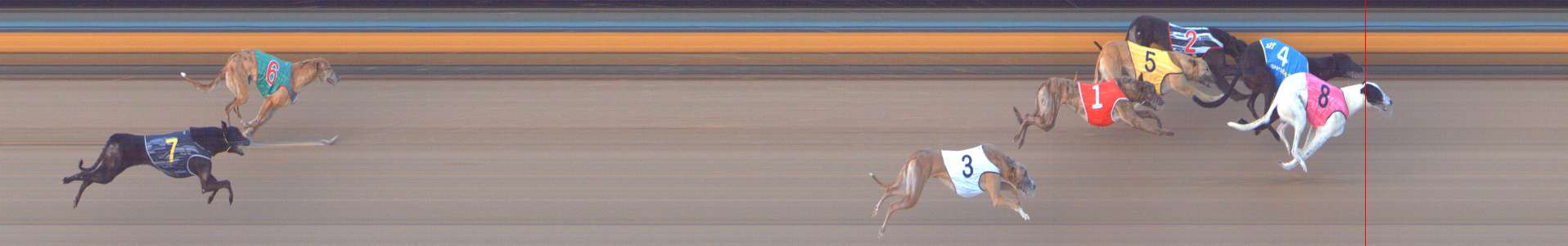Photo finish for Bendigo Race 11