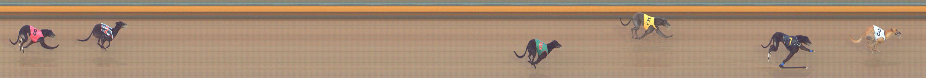 Photo finish for Bendigo Race 12