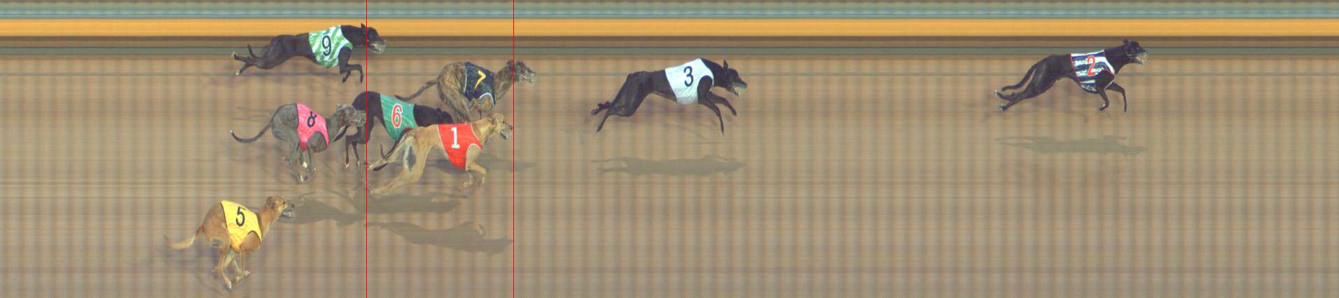 Photo finish for Bendigo Race 13