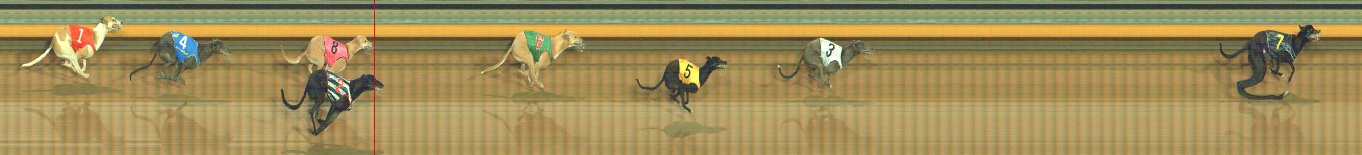 Photo finish for Bendigo Race 1
