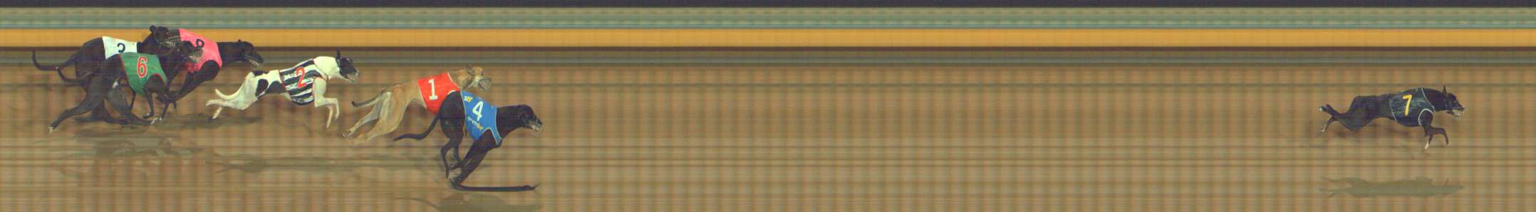 Photo finish for Bendigo Race 3