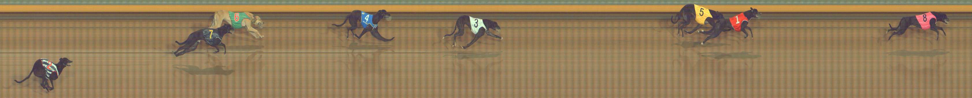Photo finish for Bendigo Race 4