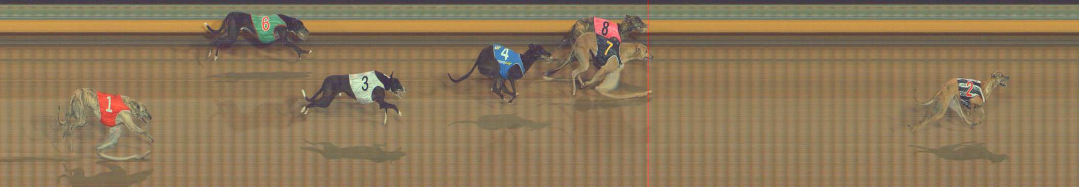 Photo finish for Bendigo Race 5