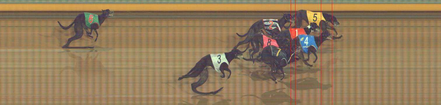 Photo finish for Bendigo Race 6