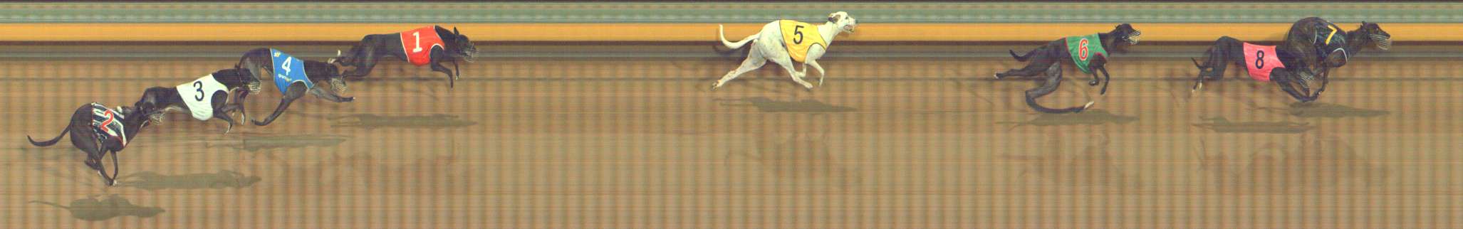 Photo finish for Bendigo Race 7