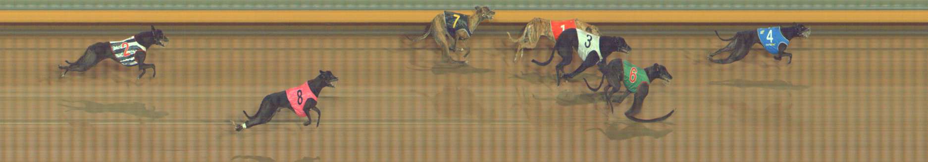 Photo finish for Bendigo Race 9
