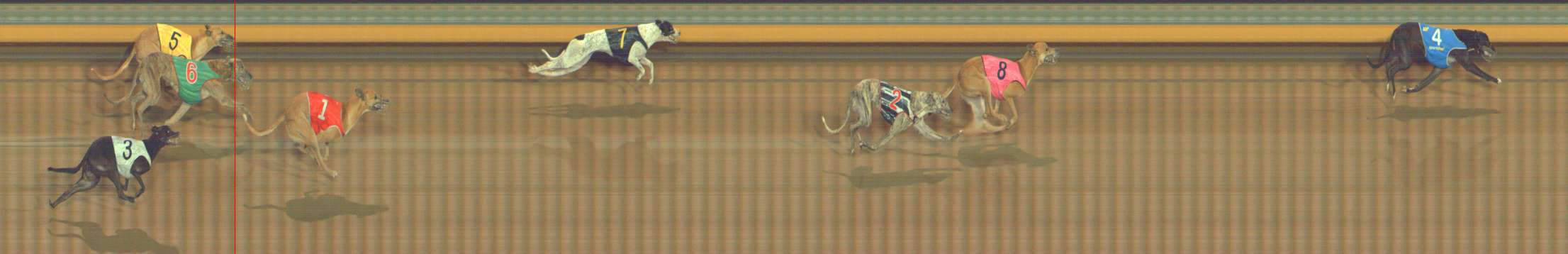 Photo finish for Bendigo Race 10