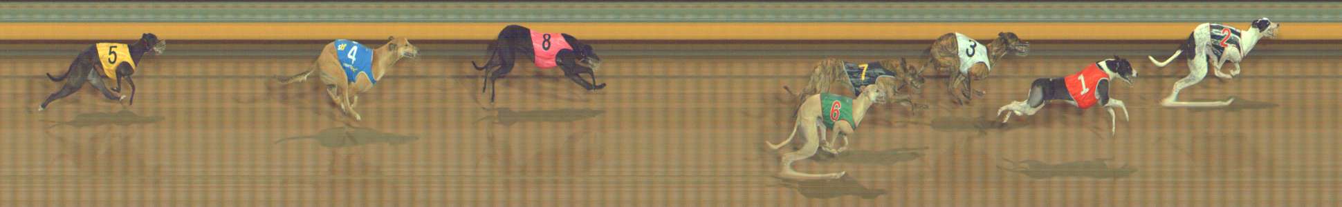 Photo finish for Bendigo Race 11