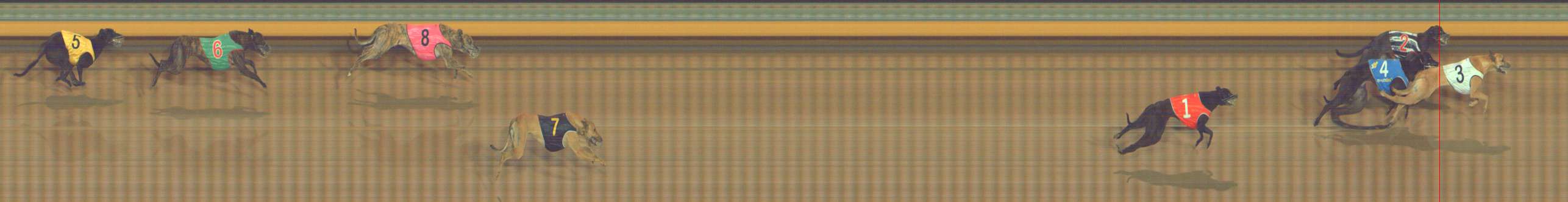 Photo finish for Bendigo Race 12