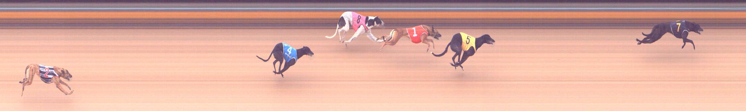 Photo finish for Bendigo Race 1