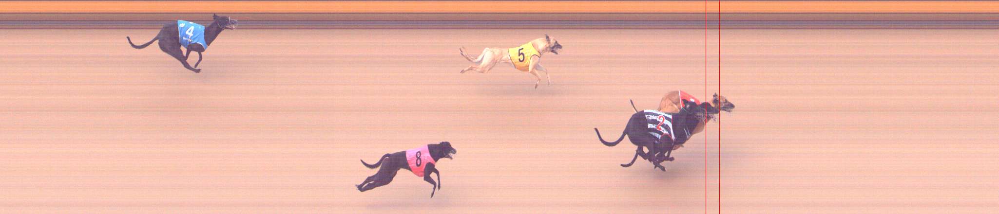 Photo finish for Bendigo Race 2