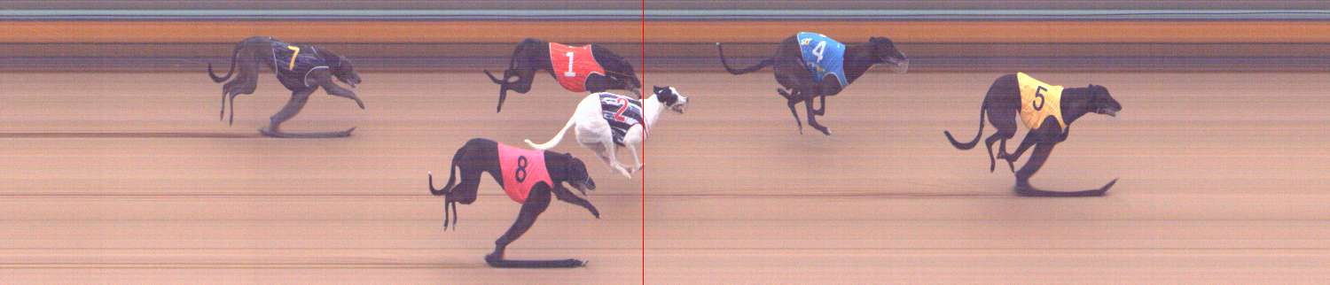 Photo finish for Bendigo Race 3