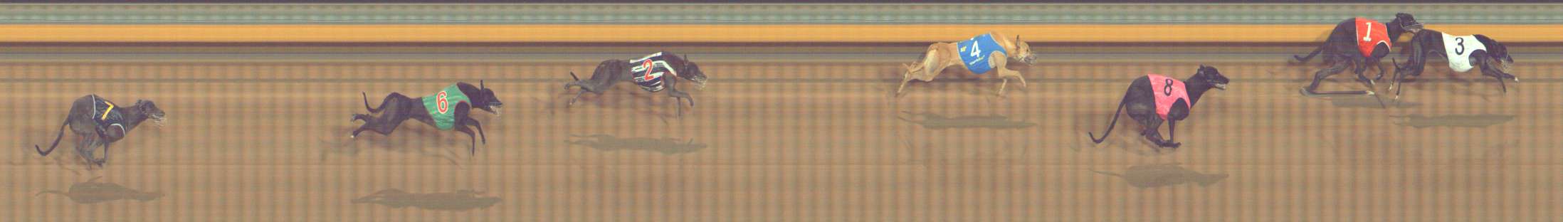 Photo finish for Bendigo Race 5
