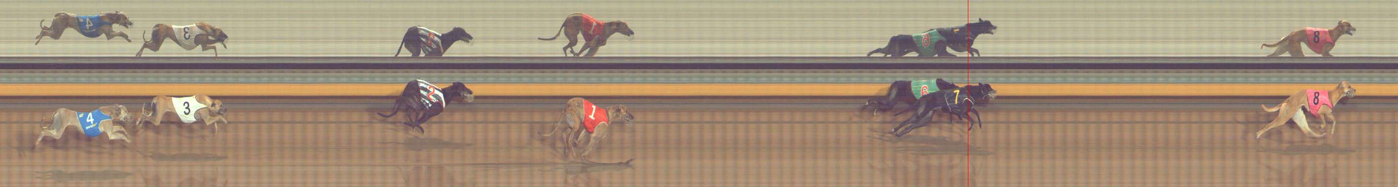 Photo finish for Bendigo Race 9
