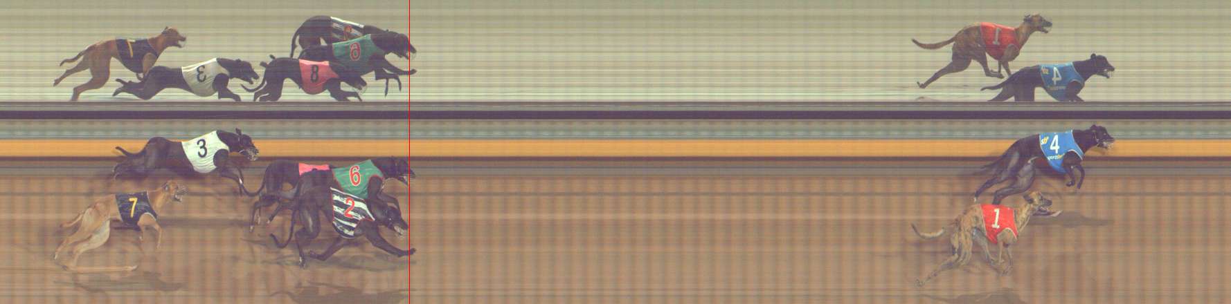 Photo finish for Bendigo Race 10