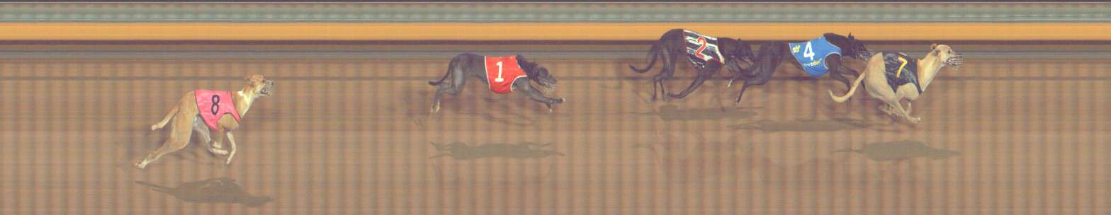 Photo finish for Bendigo Race 11